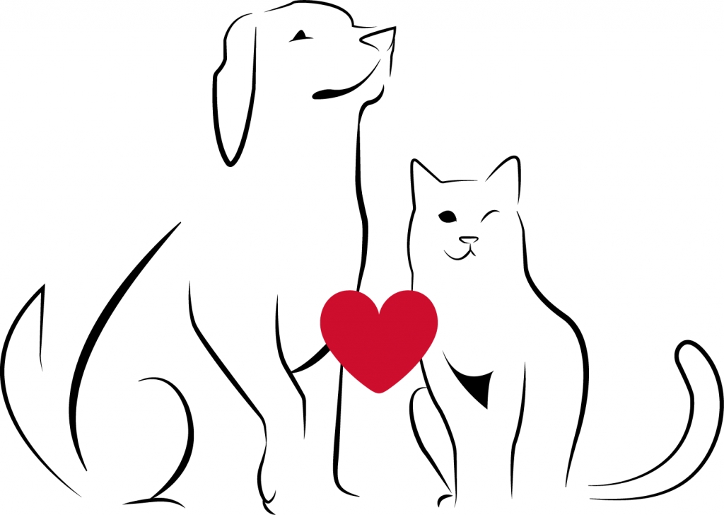 Calgary Animal Rescue Society Website